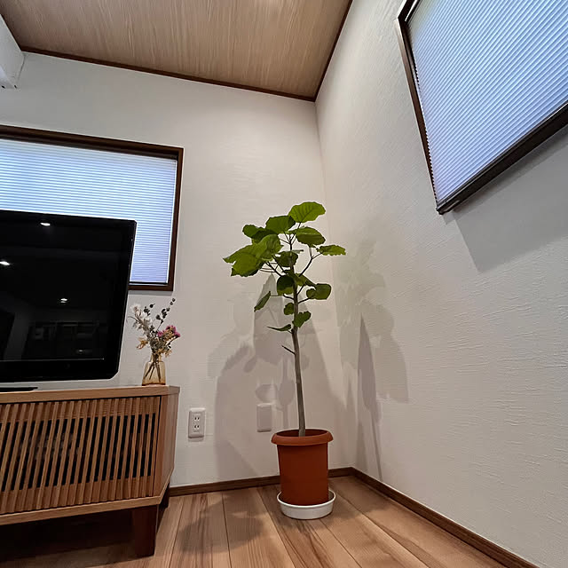 Attaさんの部屋