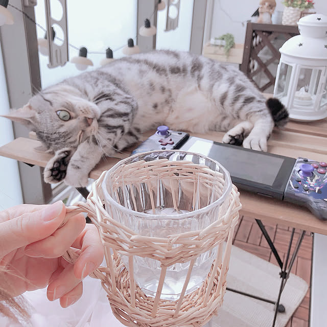tina_sa_0さんの実例写真