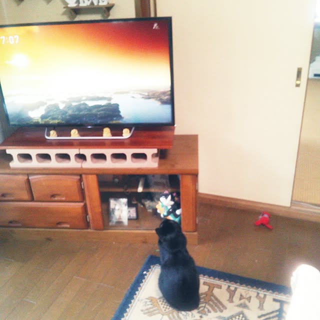 Tomopさんの実例写真