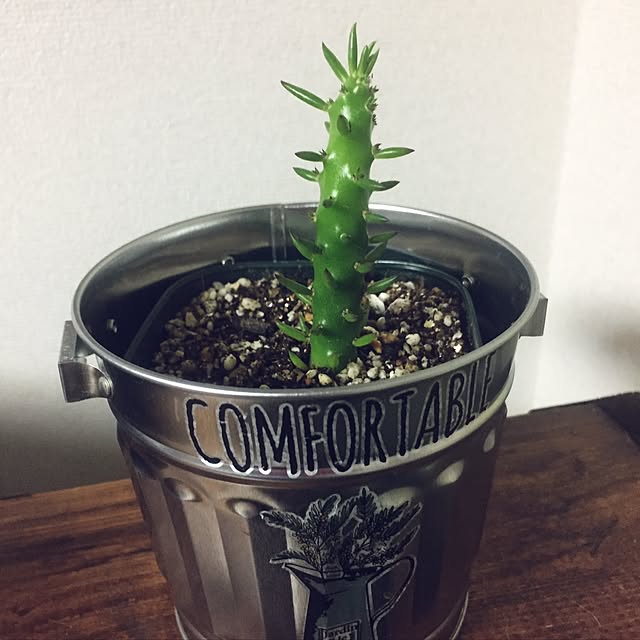 coconyantaさんの実例写真