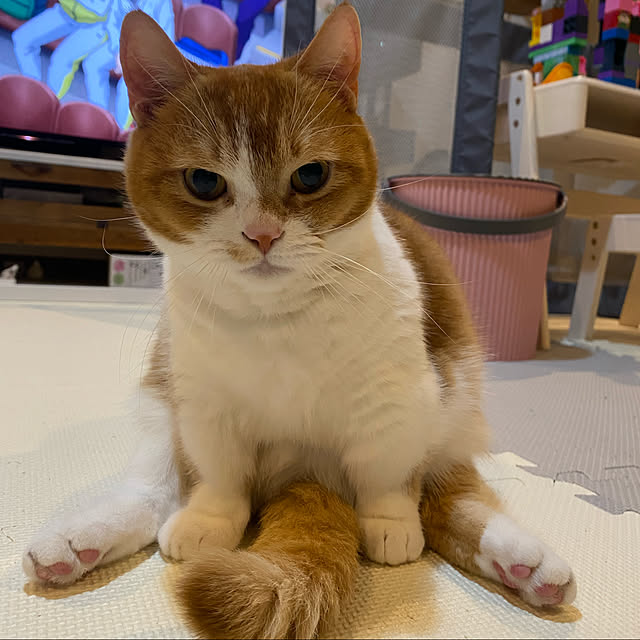 KotarouKunさんの実例写真