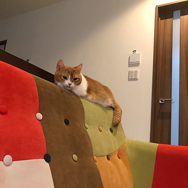 KotarouKunさんの実例写真