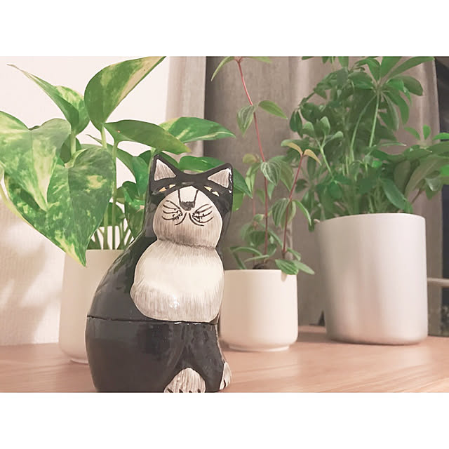 Mahoさんの実例写真