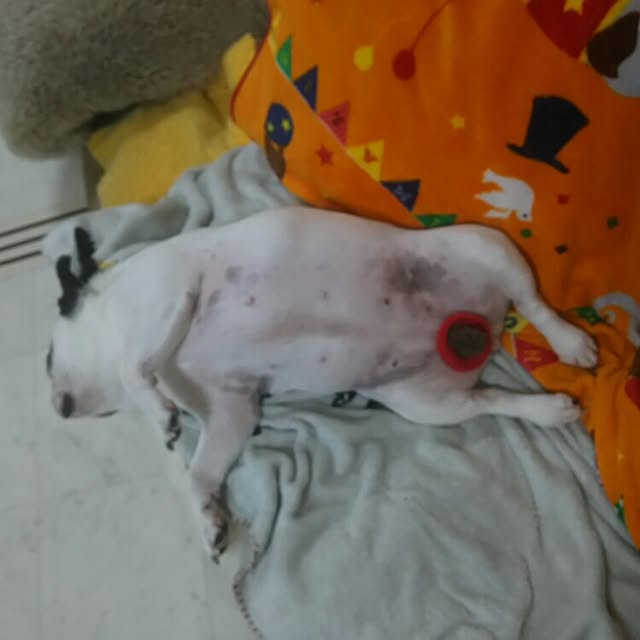 AandPさんの実例写真
