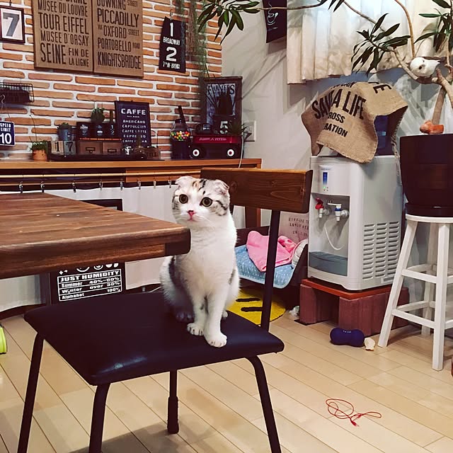yokkochanさんの実例写真