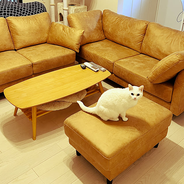 ninimomoさんの実例写真