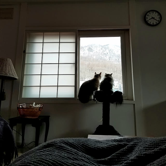 neoさんの実例写真