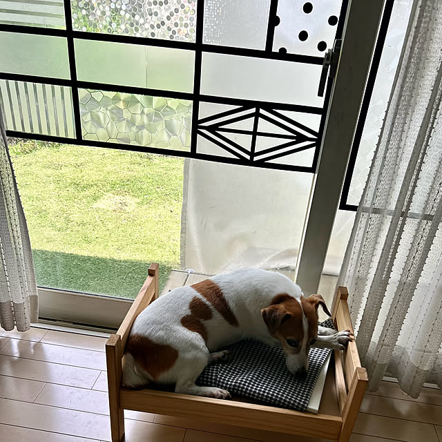 kittyさんの部屋