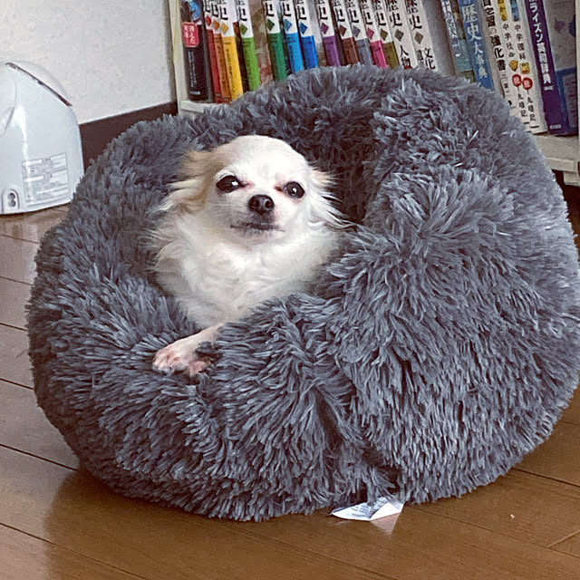 sonoさんの実例写真