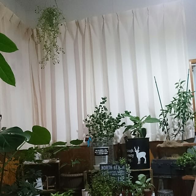 tikuwaさんの実例写真
