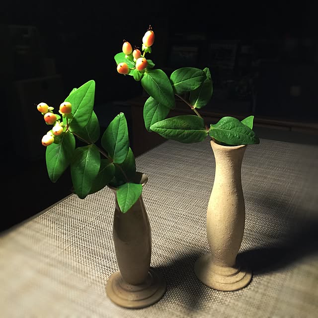 satochanさんの実例写真