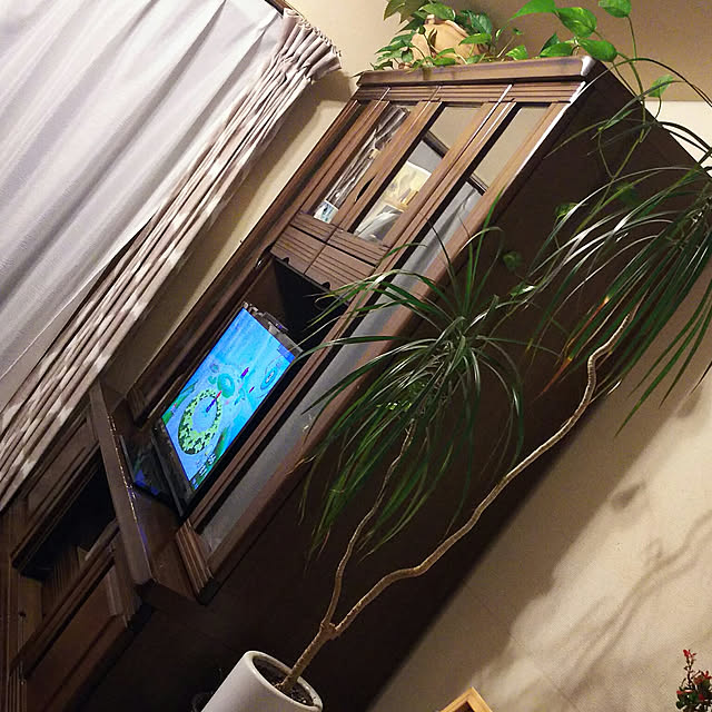 harurin.42-111さんの実例写真