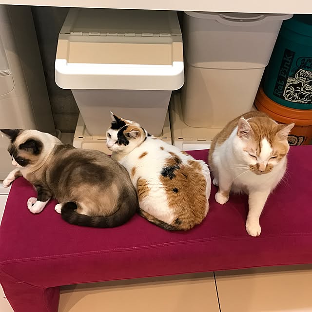 mashさんの実例写真