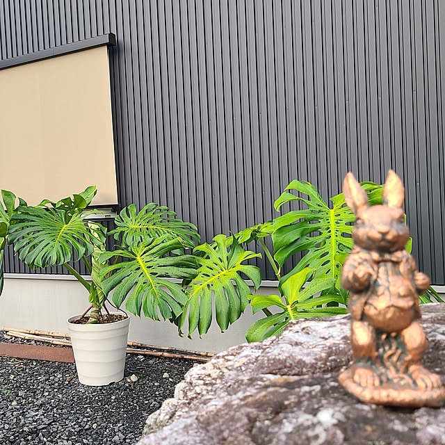 Rubiconさんの実例写真