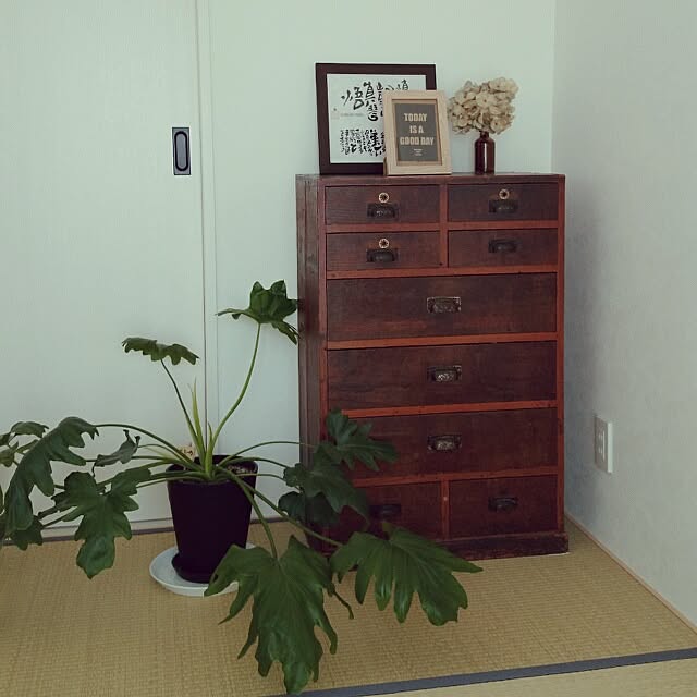 makotoさんの実例写真