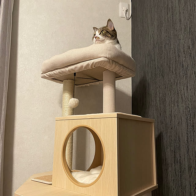 maimaiさんの部屋