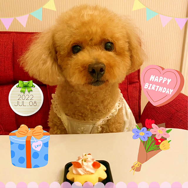 HappyRoseさんの実例写真