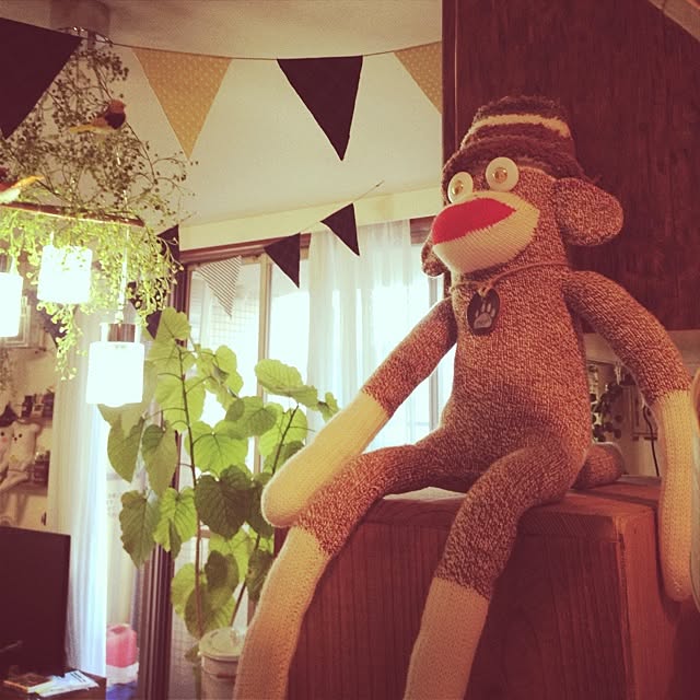 sachi212さんの実例写真