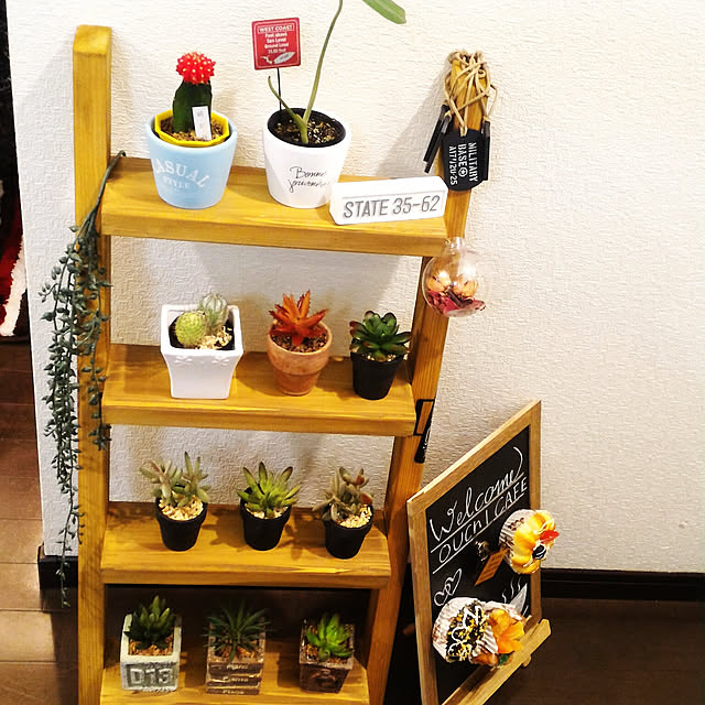 minminさんの実例写真