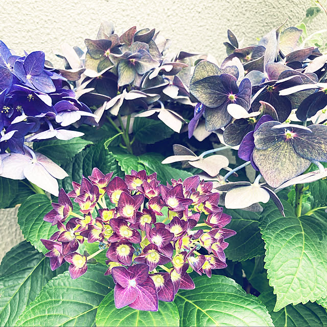 tomokokoさんの部屋