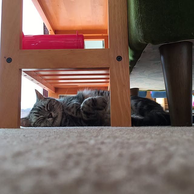 mikomaruさんの実例写真