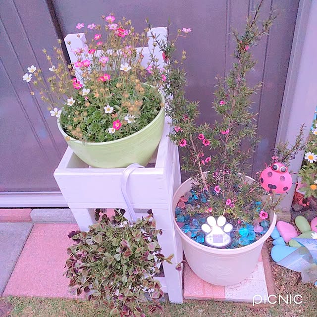 バス/トイレ/カメラマークが出たので/花のある暮らし/手作りの庭/いいね＆コメントいつもアリガトウ♡...などのインテリア実例 - 2023-05-17 22:32:44