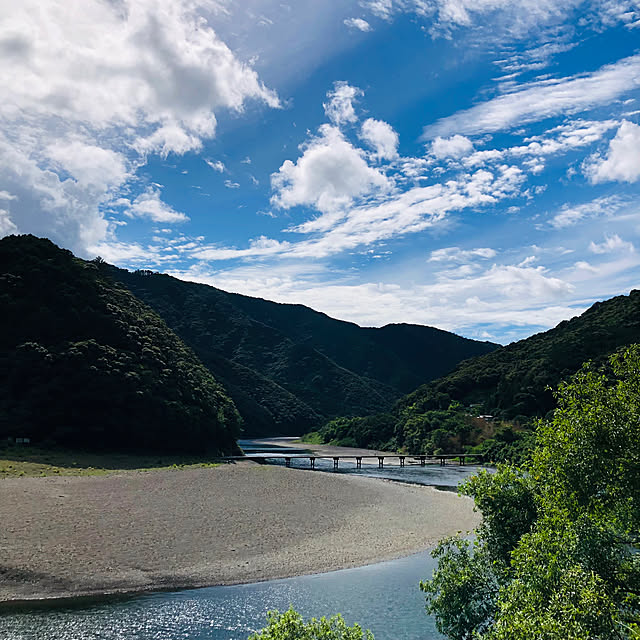 実例写真