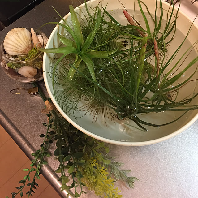 emiさんの実例写真