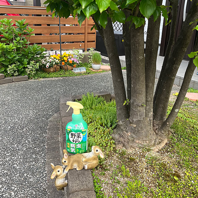 haruminさんの部屋