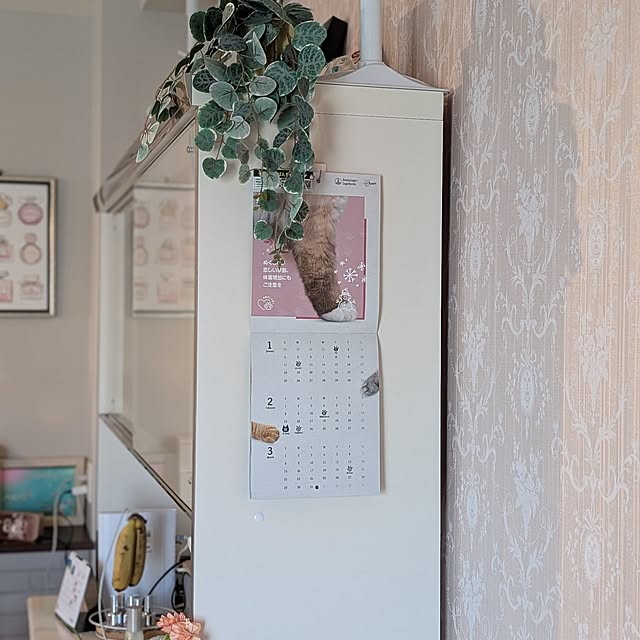 erisavesu4さんの部屋