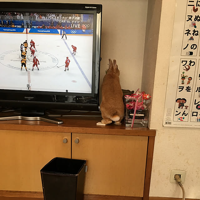 petashumさんの実例写真