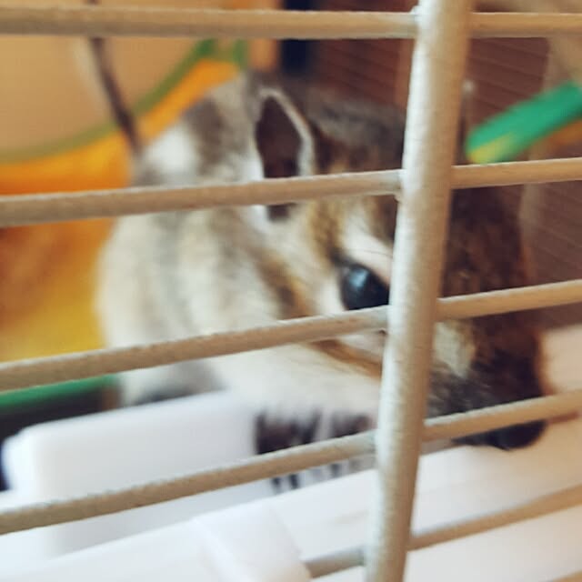 ma_d0_kaさんの実例写真