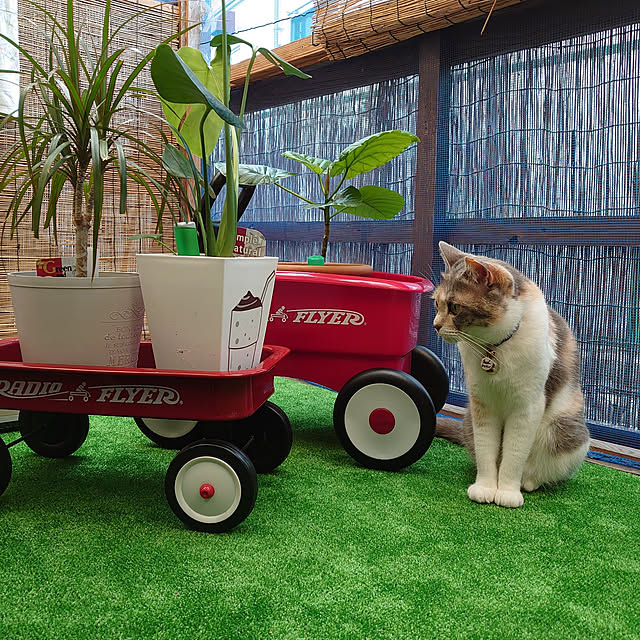 fukuさんの実例写真