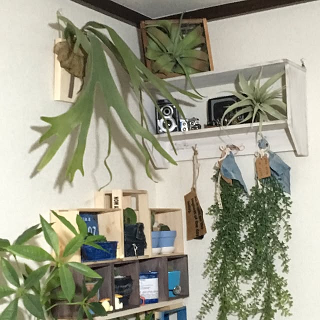 rk5kuuさんの実例写真