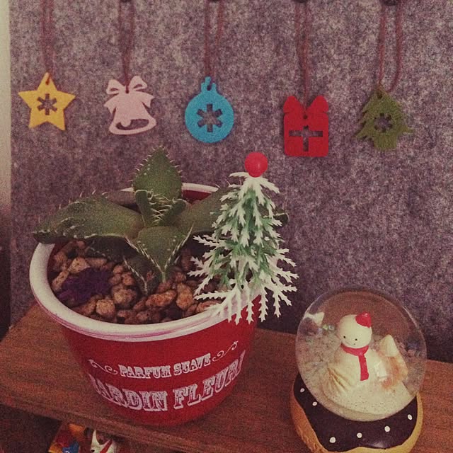 リビング/多肉植物/雑貨のインテリア実例 - 2015-12-14 16:32:56