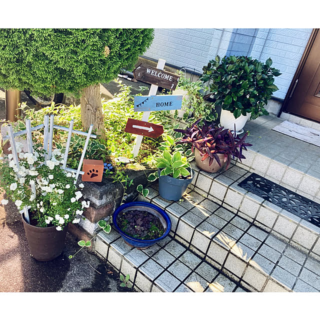 CoCo0617さんの実例写真
