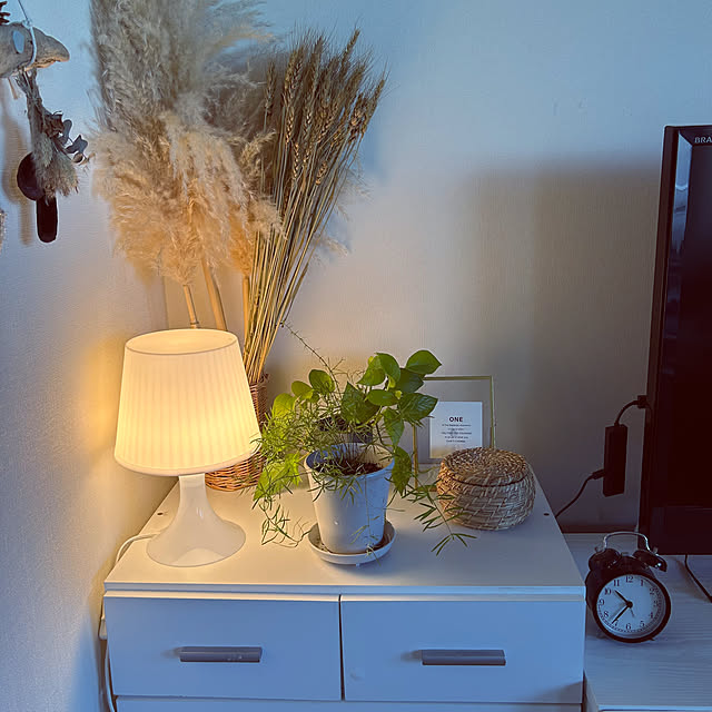 nekomiさんの部屋