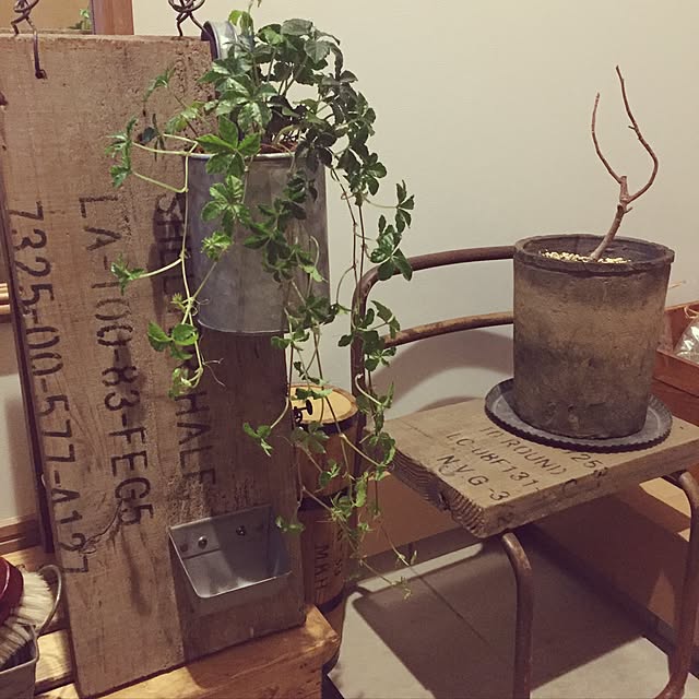 miki.a.i.y.さんの実例写真