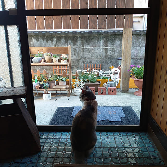 fukuさんの実例写真