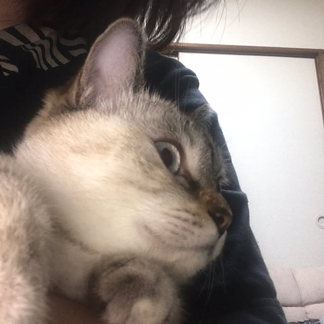nachuさんの実例写真