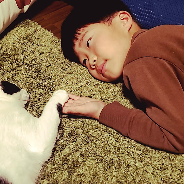 yukosanさんの実例写真