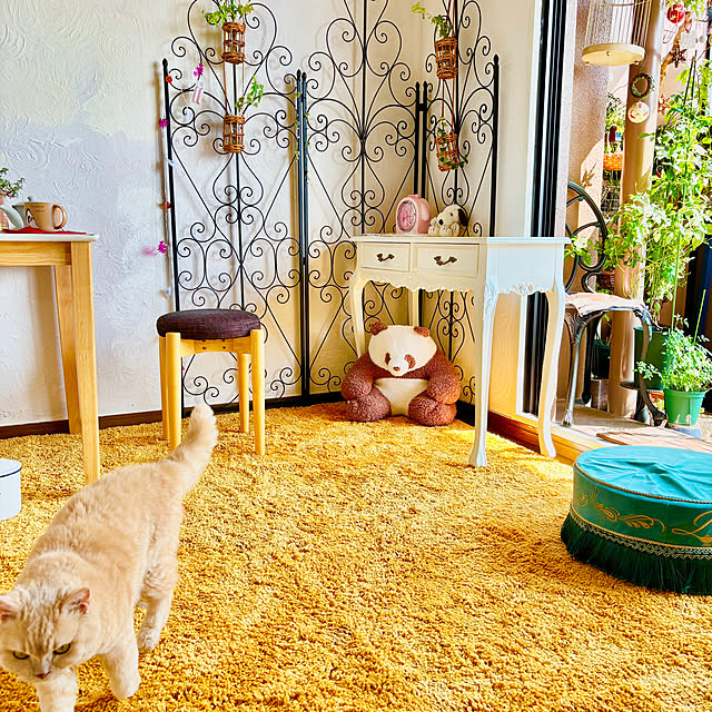 naokoさんの部屋