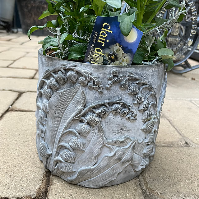 shiropenguinさんの部屋