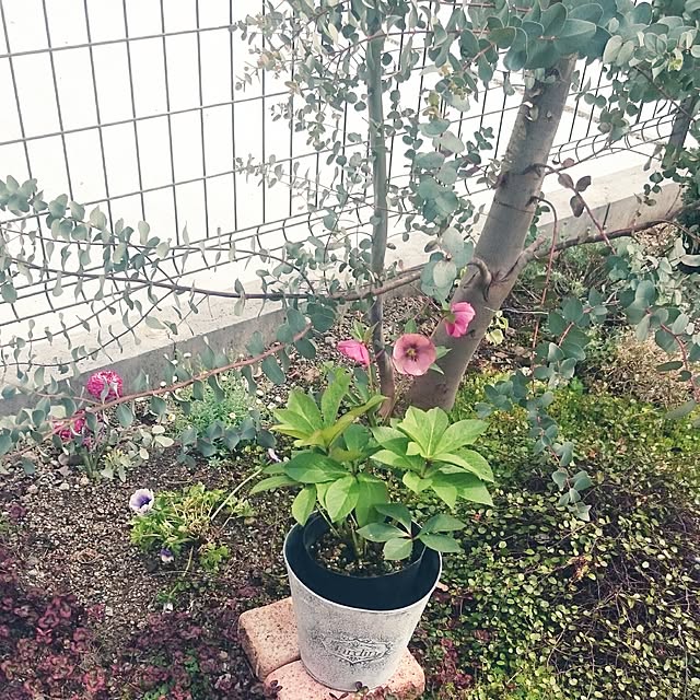 kanoさんの実例写真