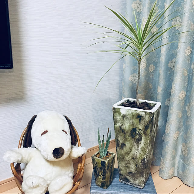 makikoさんの実例写真
