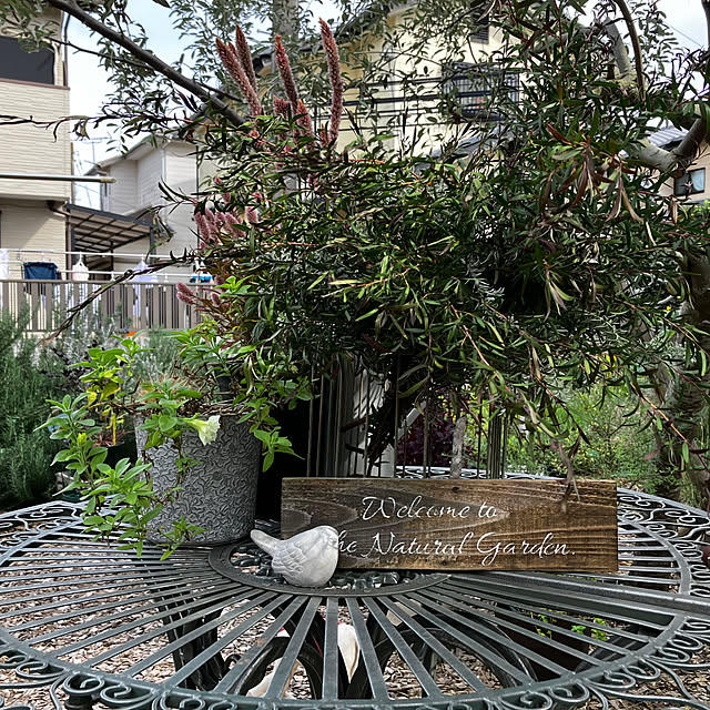 Kazukoさんの部屋