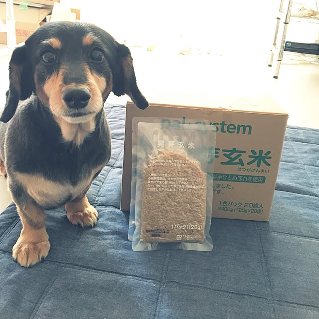 ohanaさんの実例写真