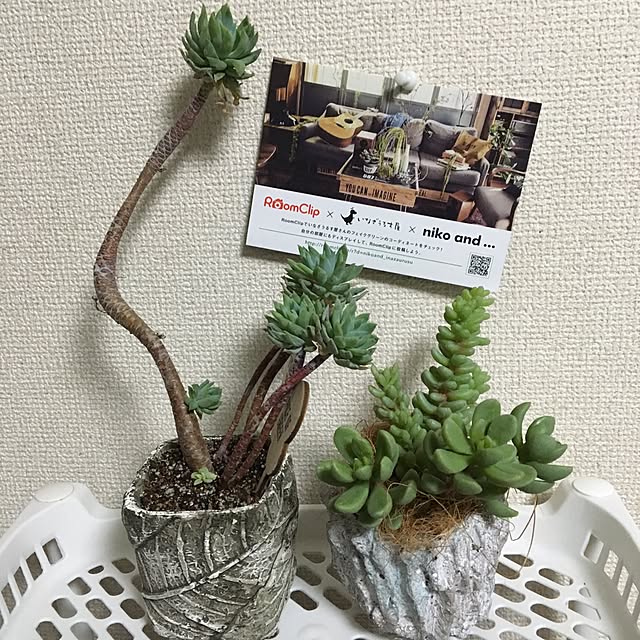 rk5kuuさんの実例写真