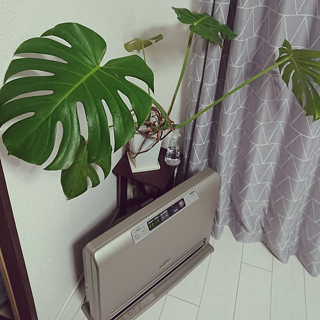 GARAGEDRiVE443Kさんの実例写真