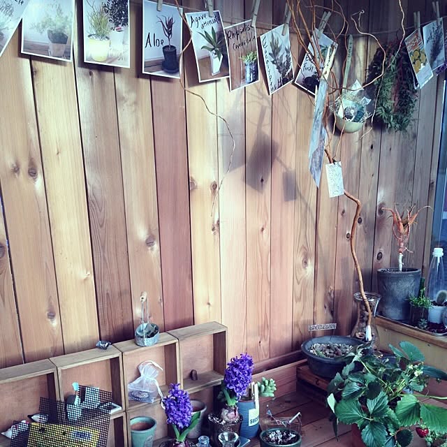 Harukaさんの部屋